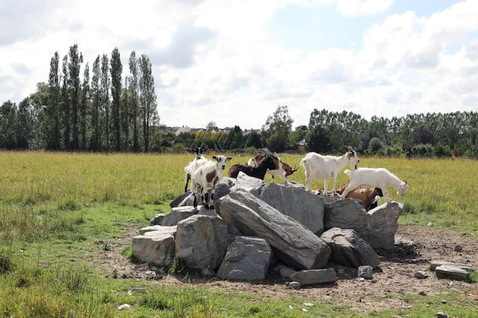 Le Fonds Caisse d’Epargne Normandie pour l’Initiative Solidaire a participé à la réalisation de l’espace d’activités intergénérationnel du Centre Hospitalier de Saint-Lô Parc Ecureuil